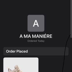 jordan 4  a ma manier