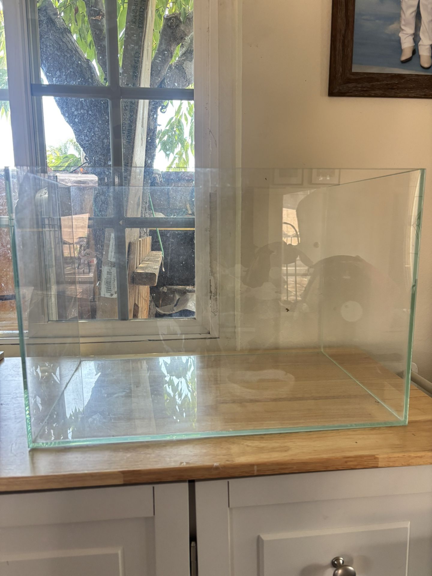 Fish Tank