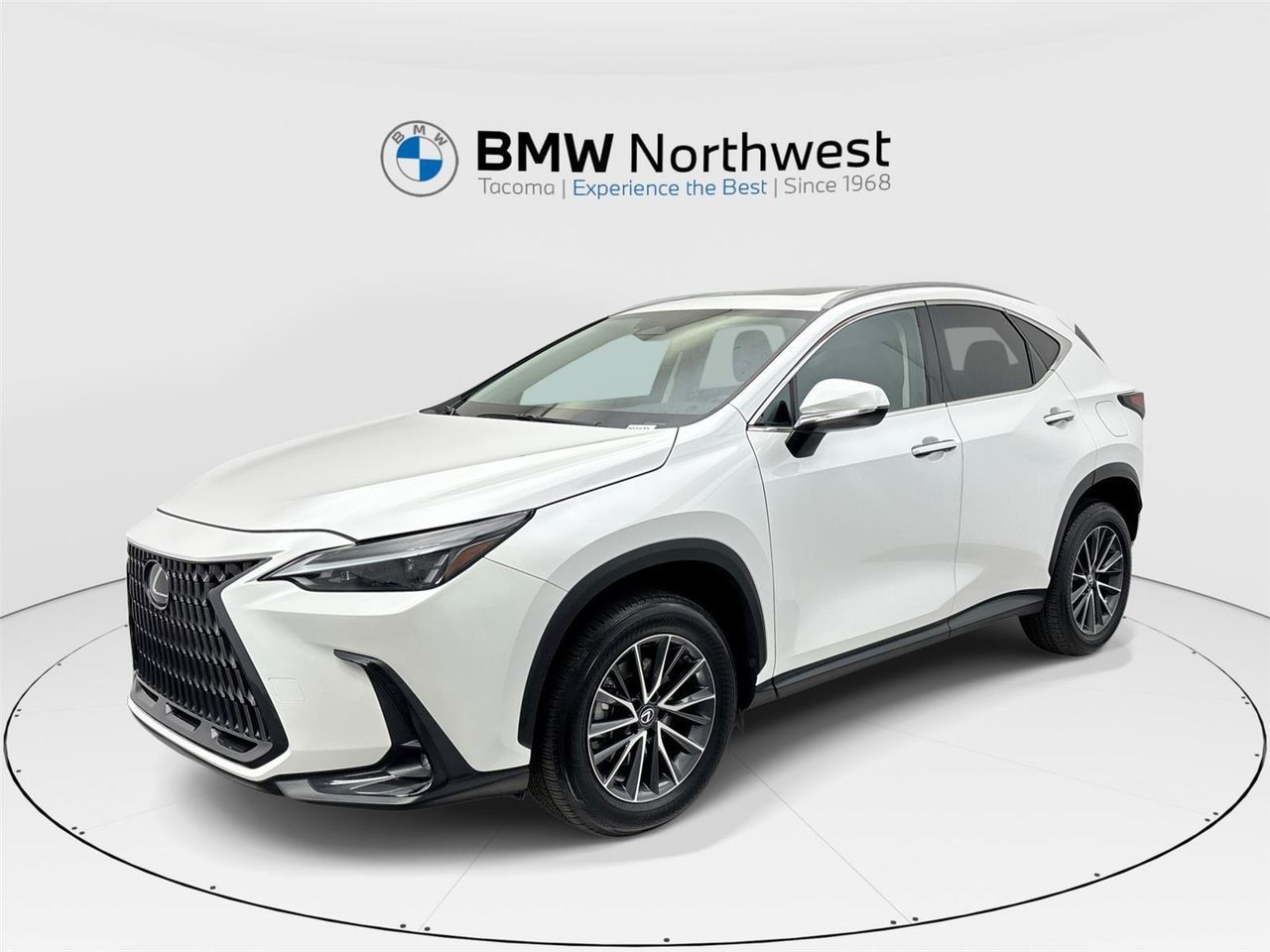 2022 Lexus NX 350