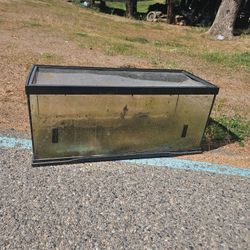 Tank