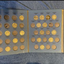 Over 20 Buffalo Nickles