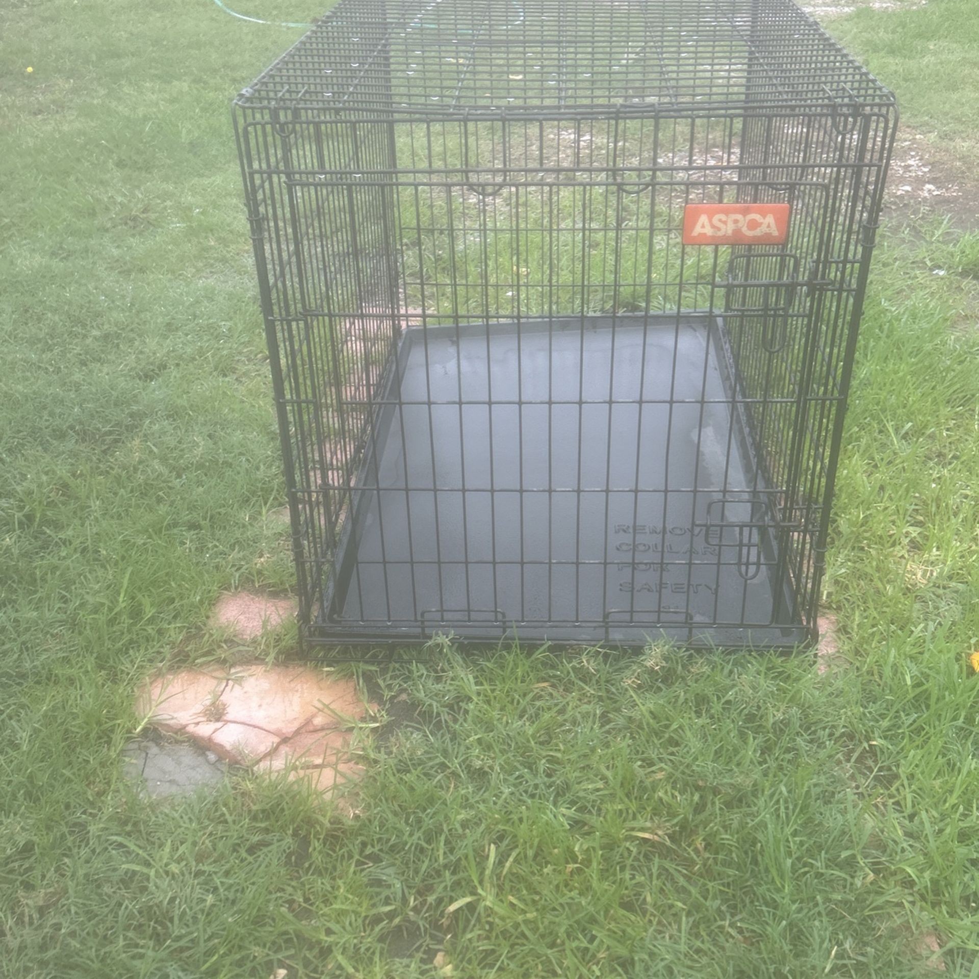 Large Dog ASPCA Collapsible Crate