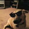 Jake