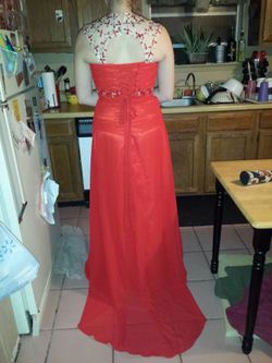 Homecoming /prom dress(worn once)