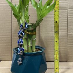 Bamboo Plant With Vase New 