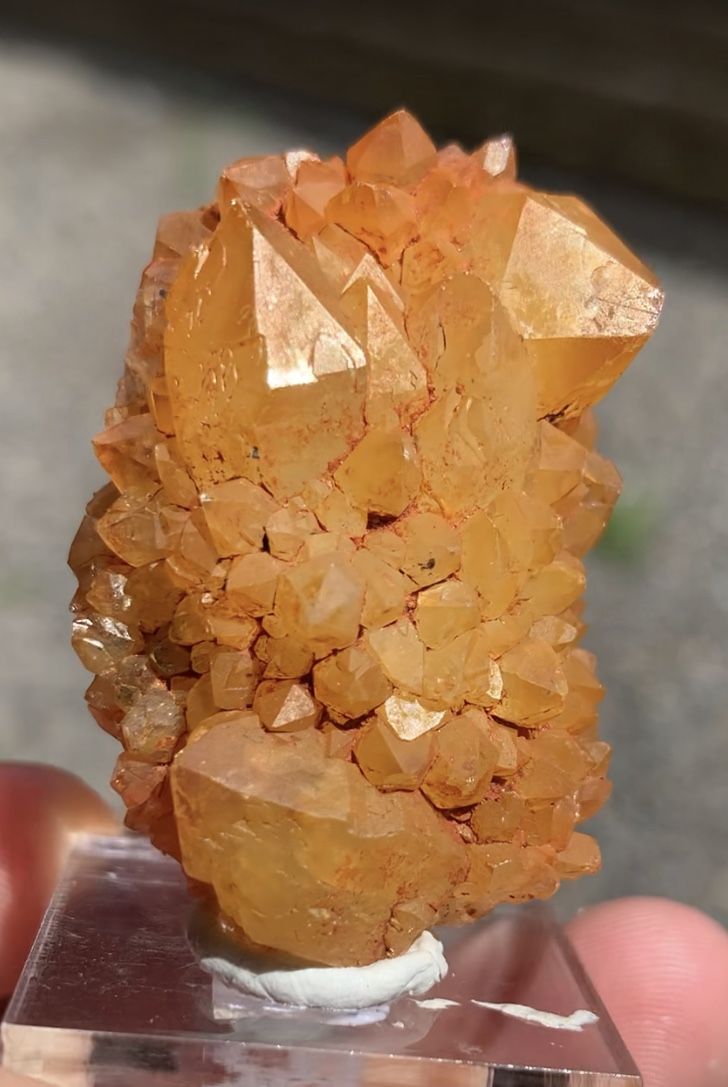 Natural Sunshine Spirit-Cactus Quartz