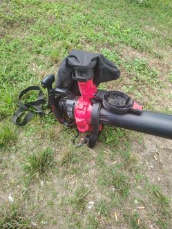 Blower with bag