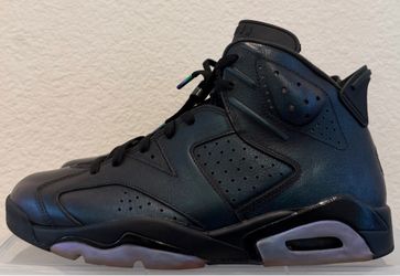 Jordan 6 All-Star Chameleon