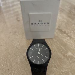 Skagen Steel Men's Watch