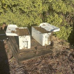Bee Nuc