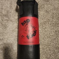 Kid Kick Hanging Punching Bag