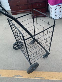 Carrying basket