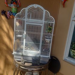 Bird Cage 🐦 