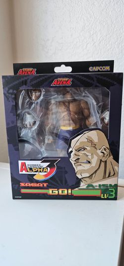Street fighter alpha 3 storm arena sagat