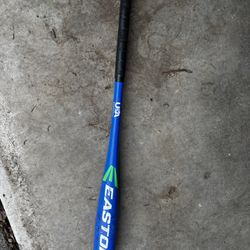 Easton Baseball Bat S250 