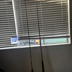 Ugly Stik And Penn Fishing Poles