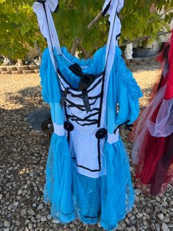 Alice in the wonderland costume