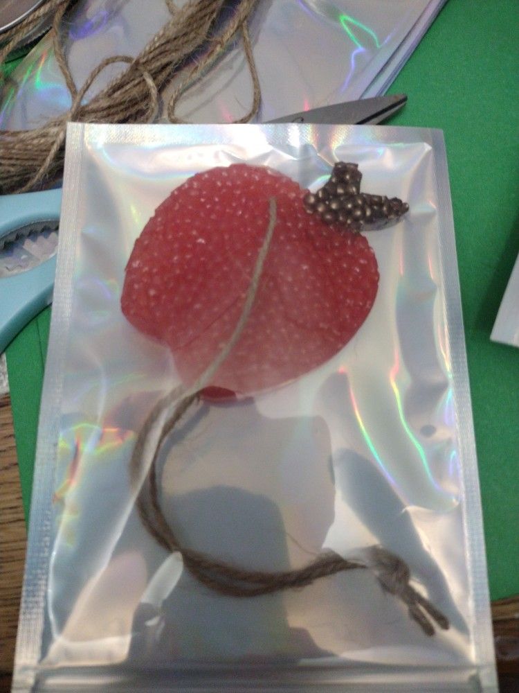 Apple Freshie