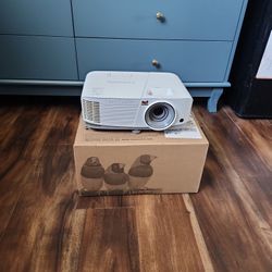 Viewsonic PA503s Projector (Needs Lamp Replacement)