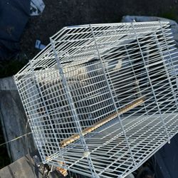 Cage Para Pájaros