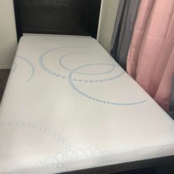 Twin Size Brown Color  