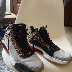 Jordan XXXIV Jayson Tatum Welcome To The Zoo