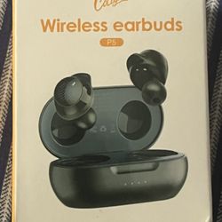 True Wireless Bluetooth 5.3 Earbuds