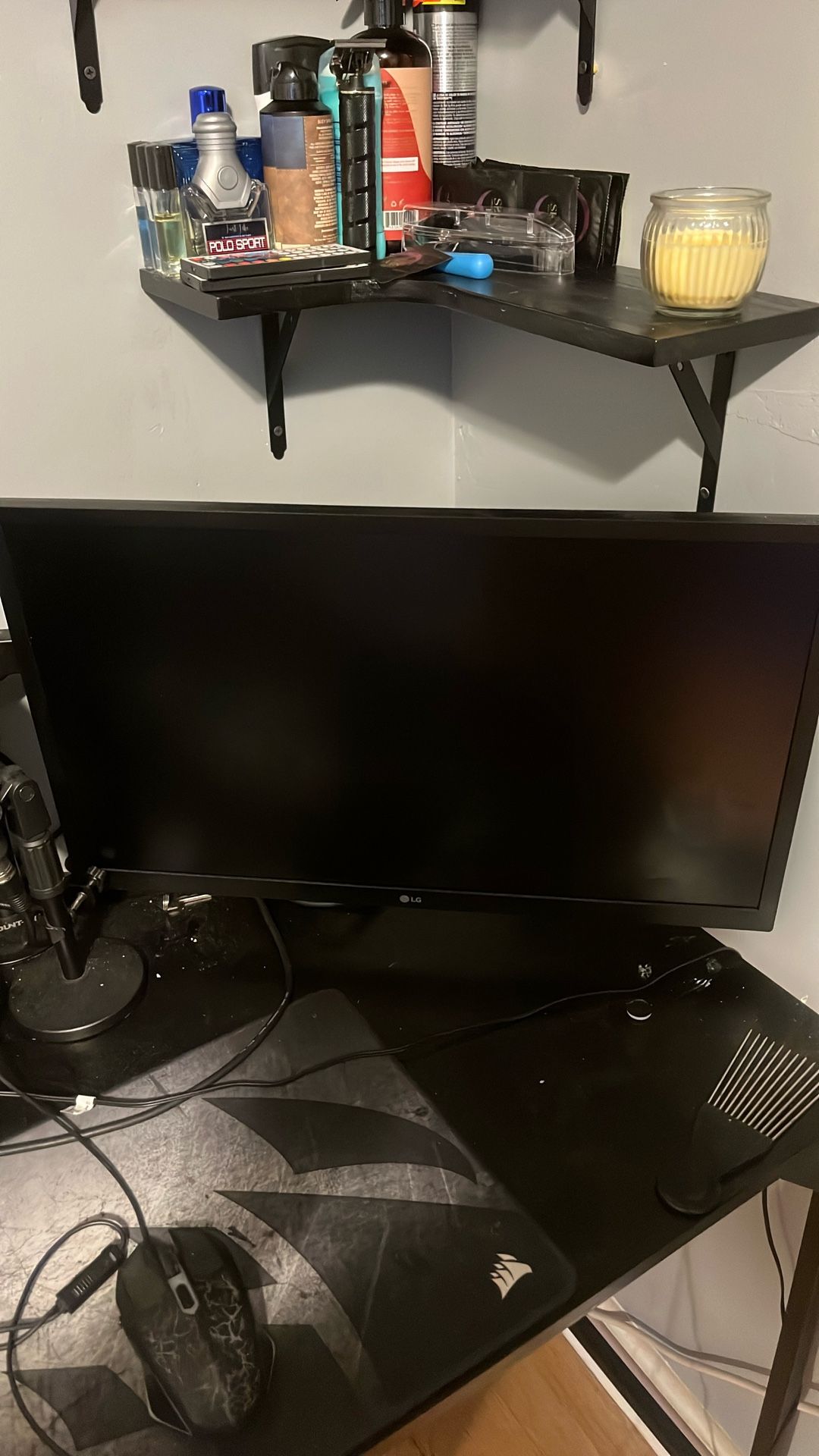 LG 24in monitor