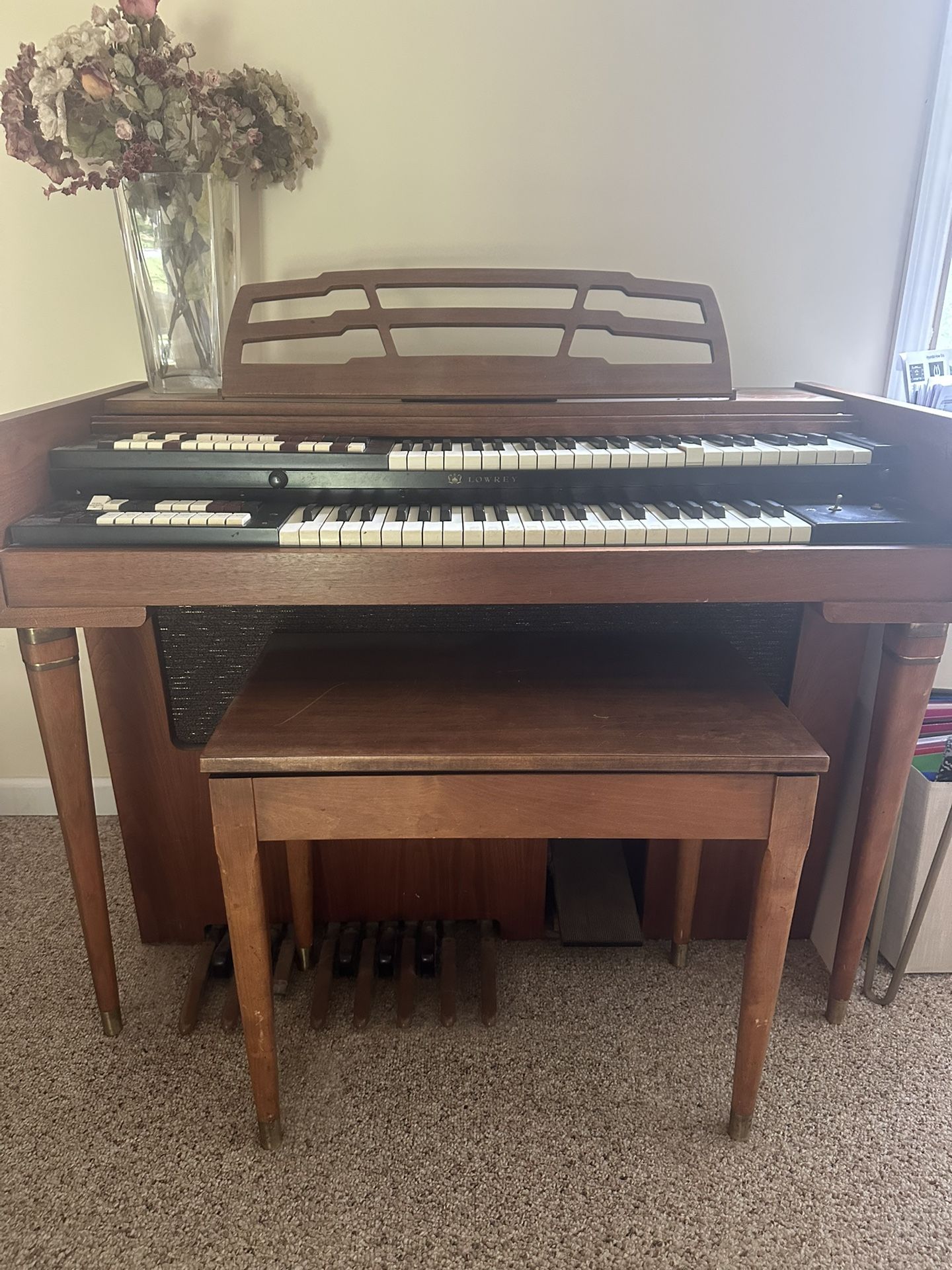 Organ