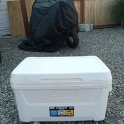 Brand NEW igloo Cooler