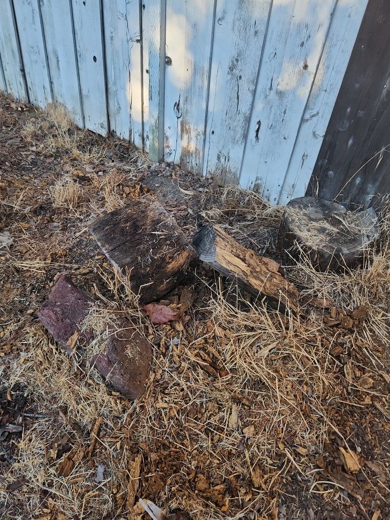 Free Fire Wood
