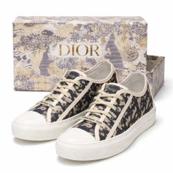 Dior Shoes