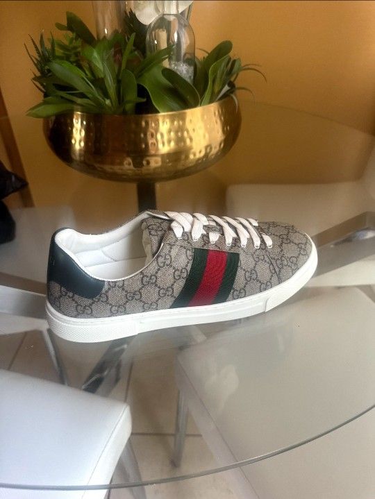 Gucci ACE sneakers