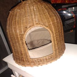 Cat House 