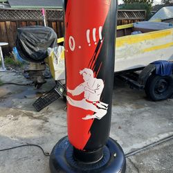 Punching Bag