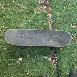 Skateboard/ Cruise Board