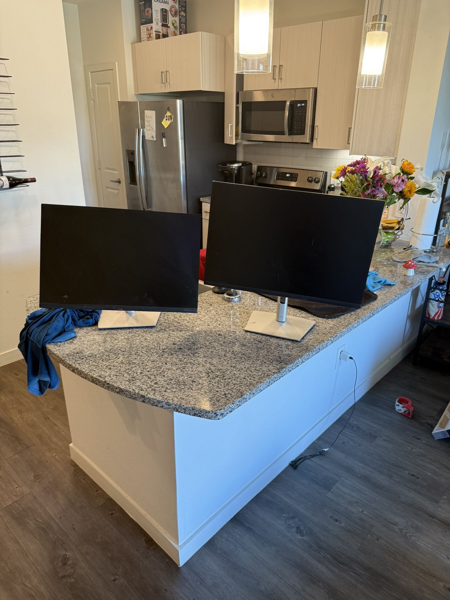 Dell Computer Monitors