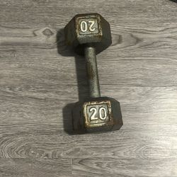 20lb Dumbbell 
