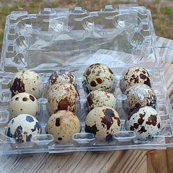 F*A*R*M****F*R*E*S*H