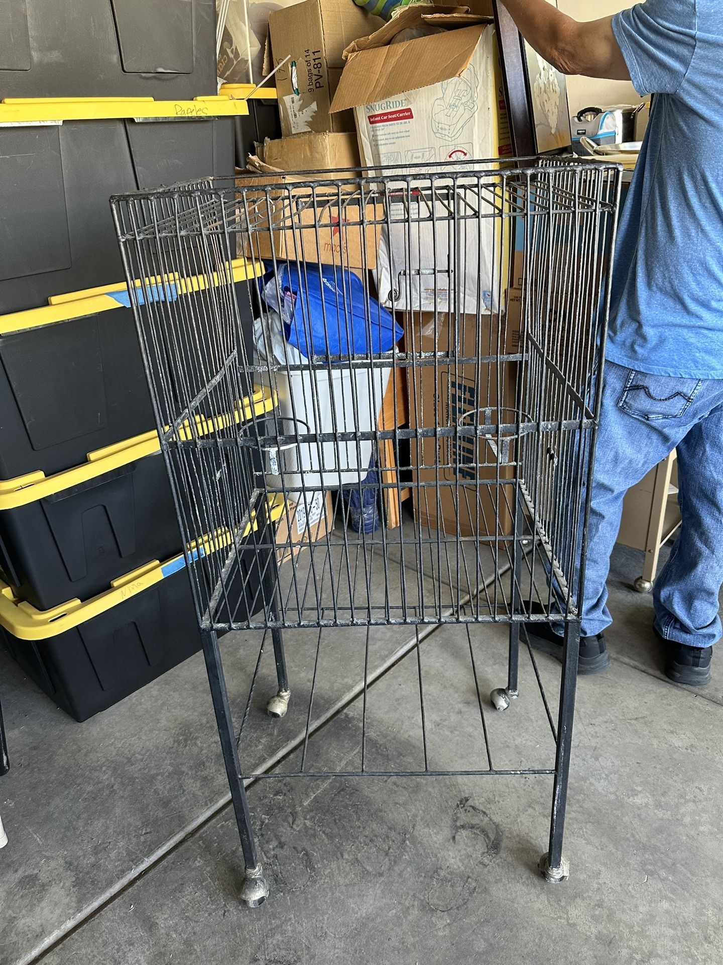 Parrot Cage