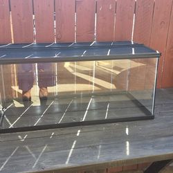 40 gallon fish tank, turtle or reptiles Brand new had it for a week. And took my water turtles out
Width the cover protective screen