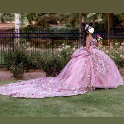 Pink Sweet 16/Quinceanera Ball Gown As Is