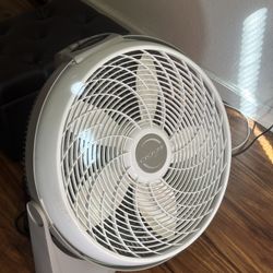 Large Fan 