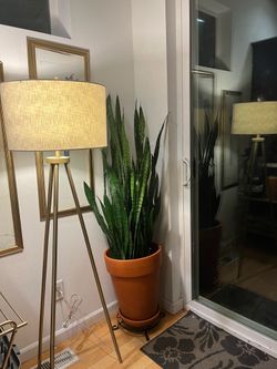 Golden lamp ~5 ft