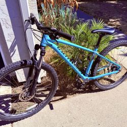 SPECIALIZED Mountain Bike
