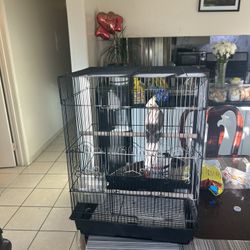 Bird Cage In New Condition 
