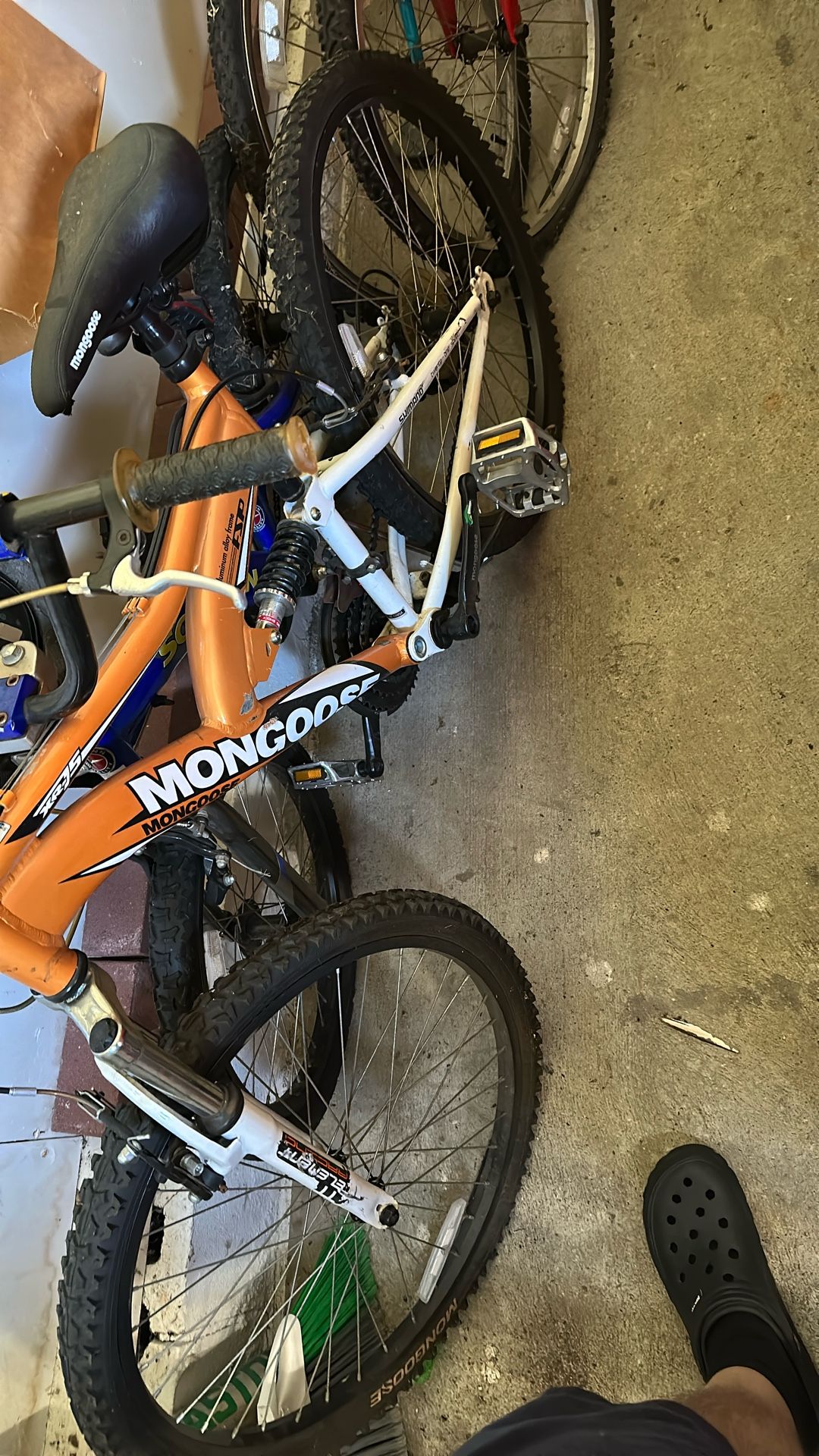 Mongoose Small Mountain Bike