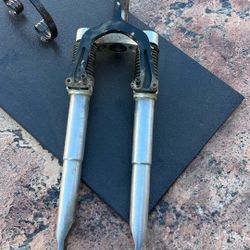 Specialized MTB Front Shock