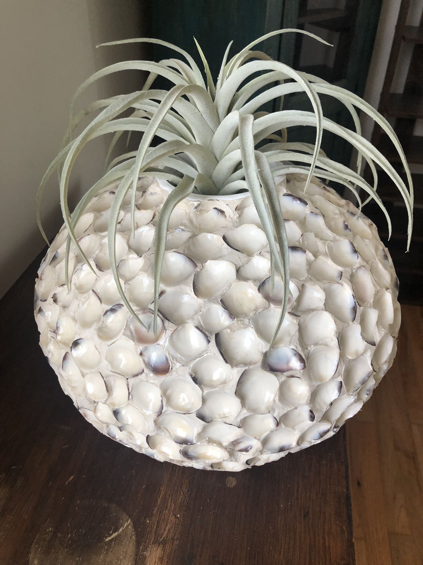 Large ceramic Vase pair