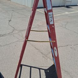 Werner 6 ft. H Fiberglass Step Ladder Type IA 300 lb. capacity